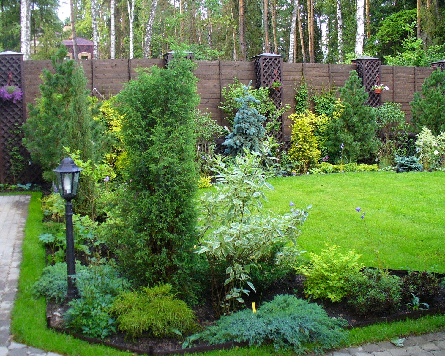 Проект Жуковка